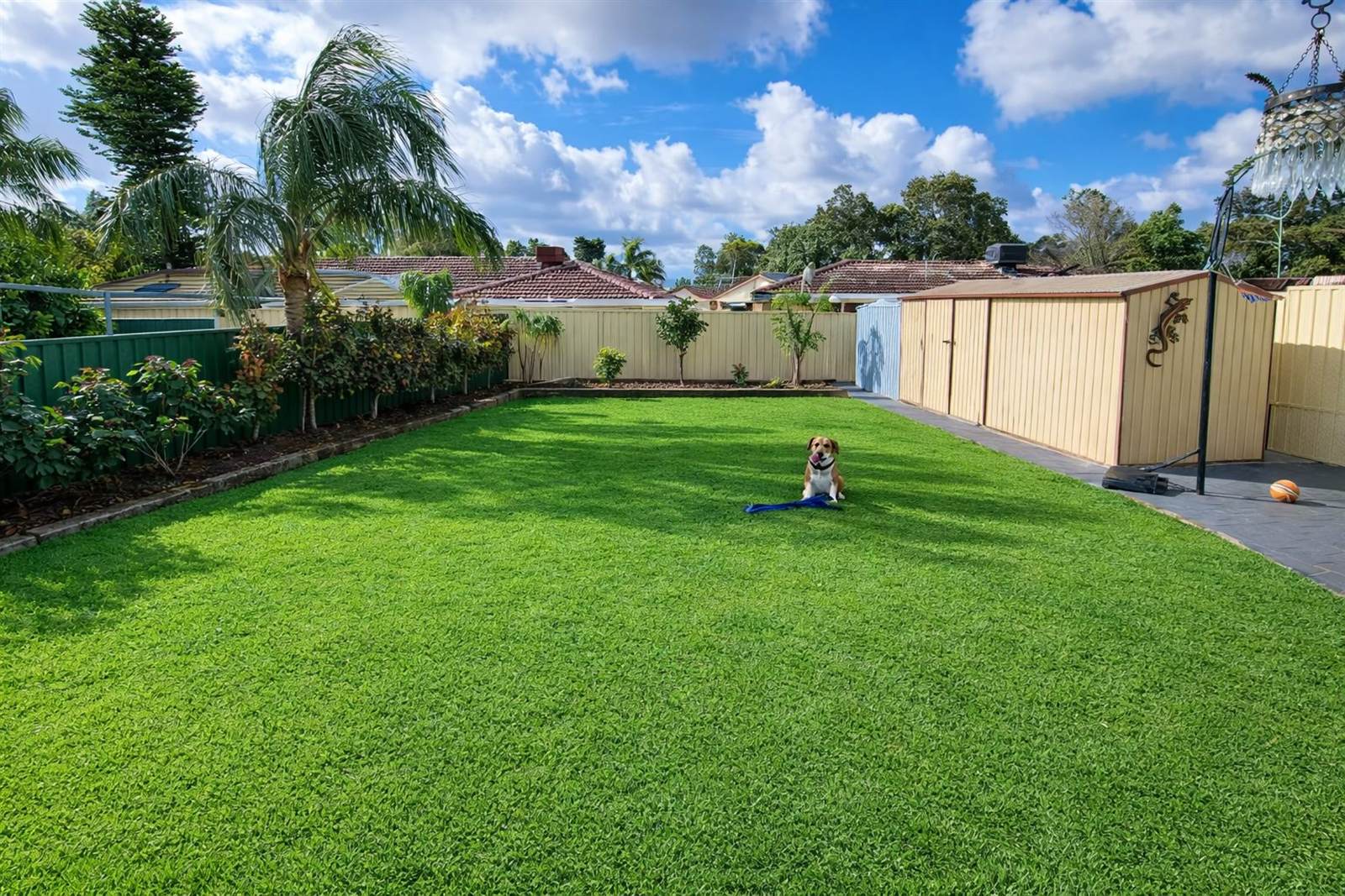 Perth front yard after: lush lawn, new plantings, new fencing