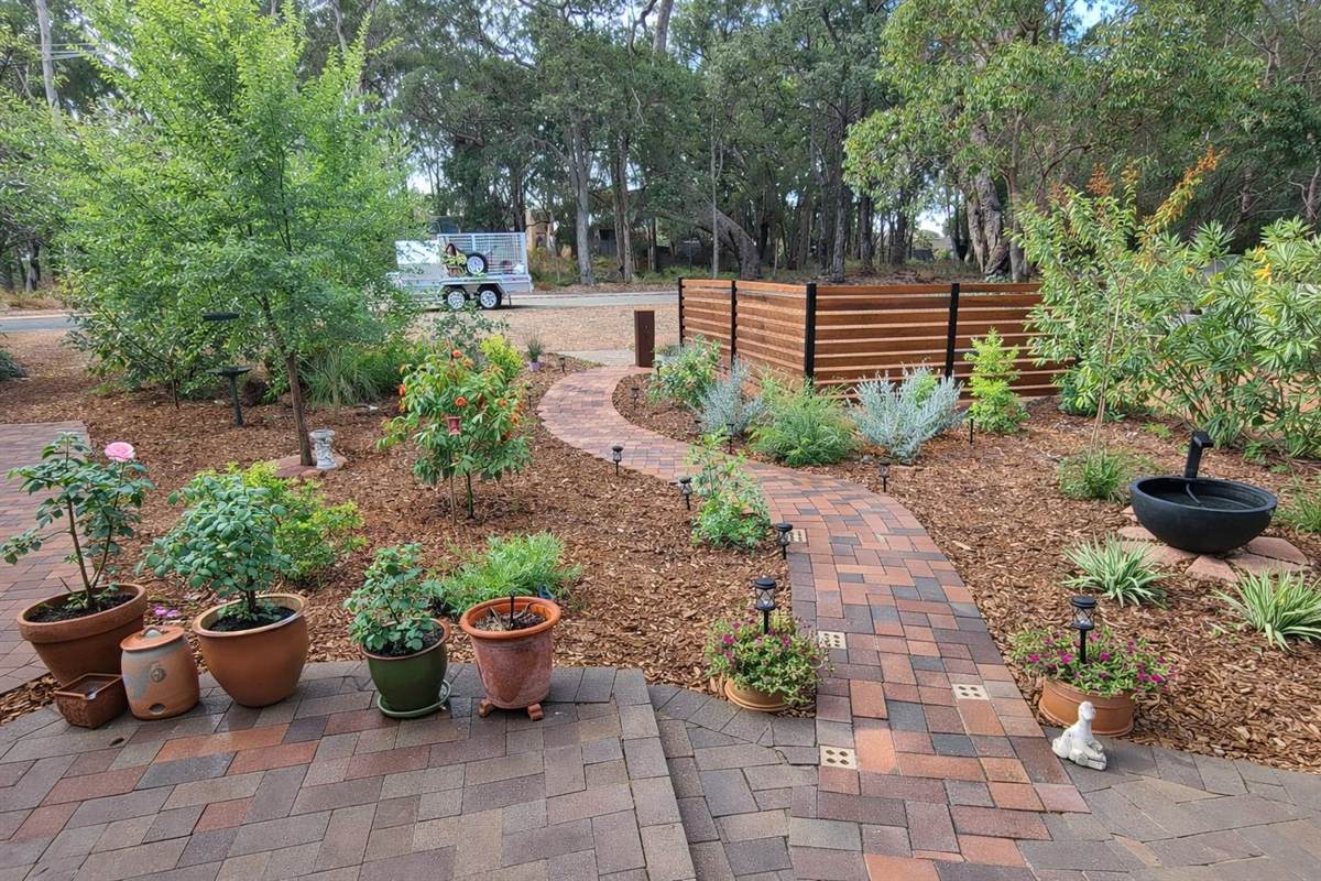 Example: mature landscaped rear garden with paved path and feature plantings